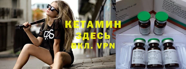 сатива Пролетарск