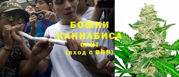 сатива Комсомольск