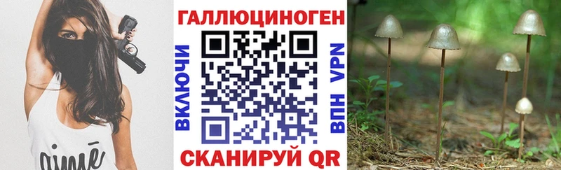 Псилоцибиновые грибы Cubensis  блэк спрут tor  Севск  наркота 
